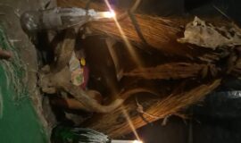 Best Psychic +1(862) 626-6441 Love Spells in Chattanooga, TN *To Get Back Ex Lover* Black magic cleansing.