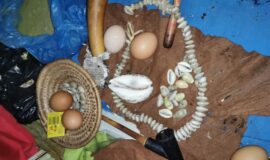 Best Psychic +1(862) 626-6441 Love Spells in Dallas, TX *To Get Back Ex Lover* Black magic cleansing.