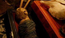 How to join occult ™°√+2349027025197√✓™ how to join brotherhood for Money ritual ™™ join occult today to make money ritual ™™
